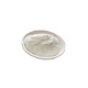 Sunflower disk peptide